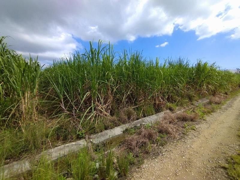 2,165 sqm Agricultural Land for Sale in Itoman, Okinawa - Thumbnail 3