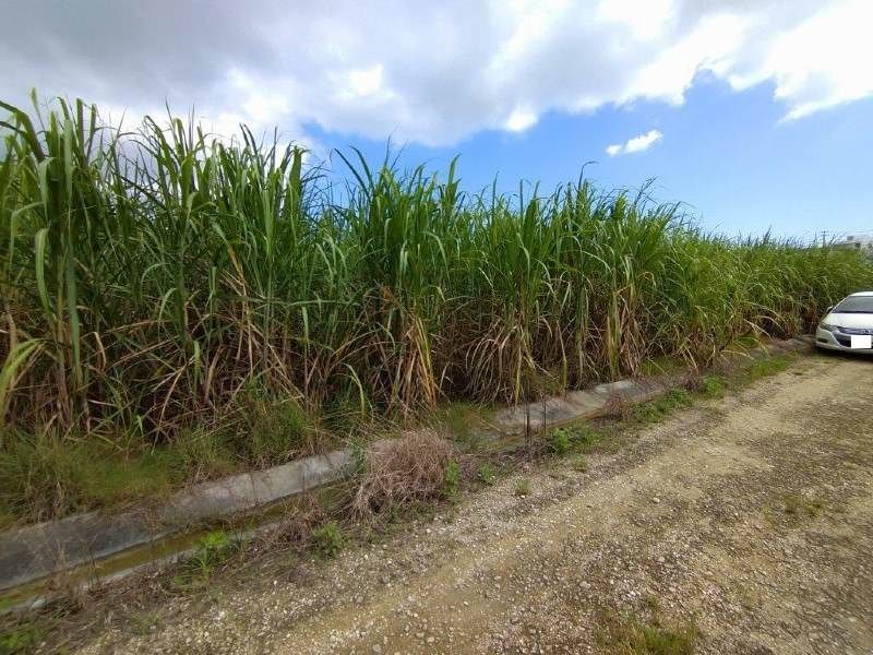 2,165 sqm Agricultural Land for Sale in Itoman, Okinawa - Thumbnail 4