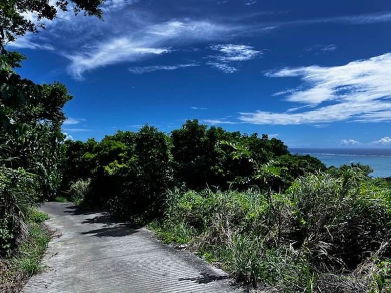 182.4 Tsubo Wilderness Land for Sale in Nanjo City, Okinawa - Thumbnail 3