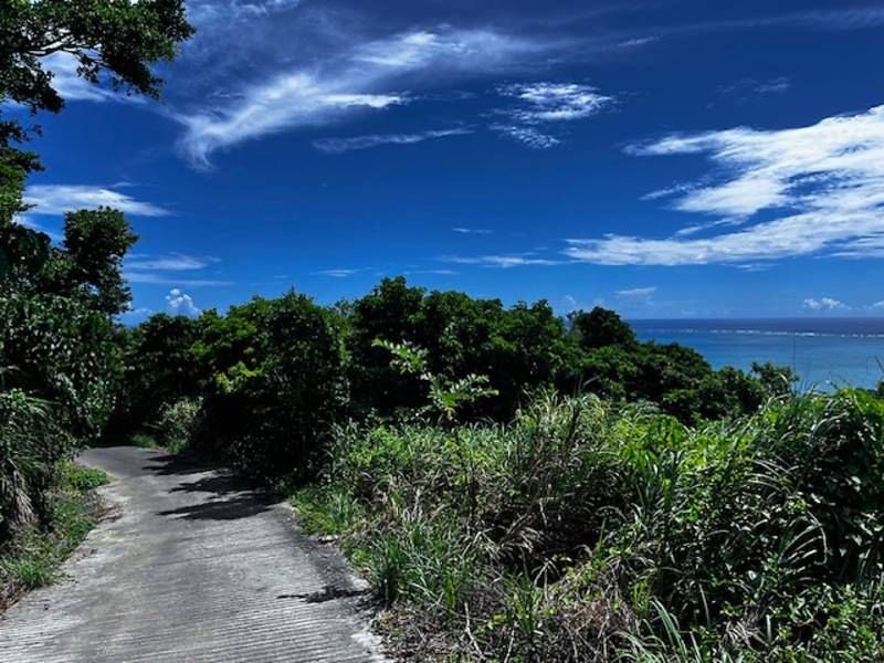 182.4 Tsubo Wilderness Land for Sale in Nanjo City, Okinawa - Thumbnail 2