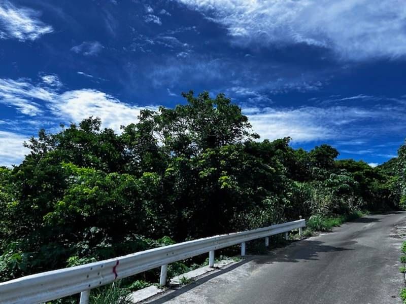 182.4 Tsubo Wilderness Land for Sale in Nanjo City, Okinawa - Thumbnail 4