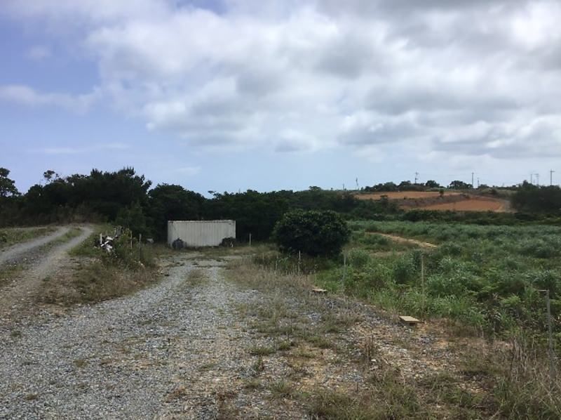 35,612 sqm Pineapple Farm Land for Sale in Higashi Village, Okinawa - Thumbnail 4