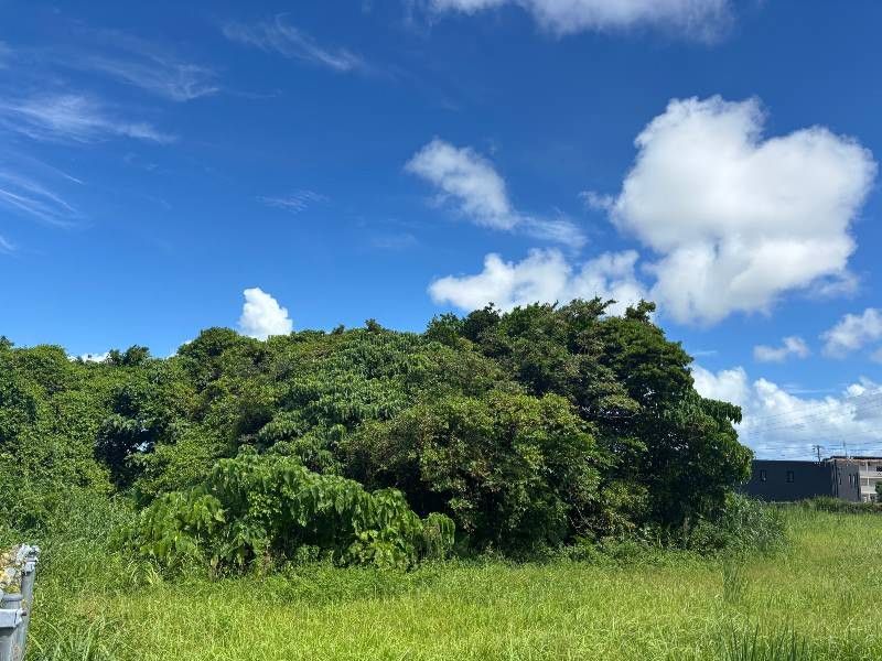 589 sqm Flat Land for Sale in Yaejima, Okinawa City - Thumbnail 2