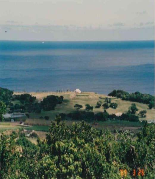 10,298 sqm Land for Sale in Yaza, Yaese Town, Okinawa - Thumbnail 3