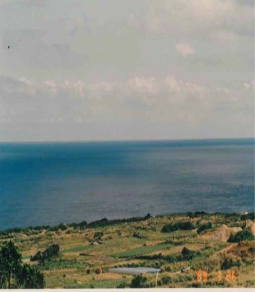 10,298 sqm Land for Sale in Yaza, Yaese Town, Okinawa - Thumbnail 4