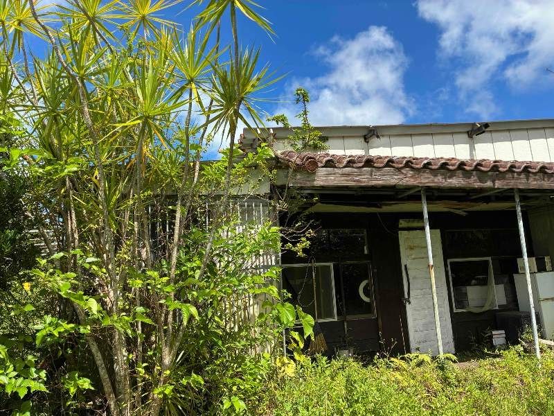 2437.8 Tsubo Farmland with Shed & Greenhouses in Higashi, Okinawa - Thumbnail 2