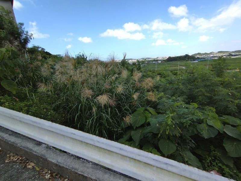 Land for Sale in Yosa, Itoman City, Okinawa - 2,619 sqm - Thumbnail 3