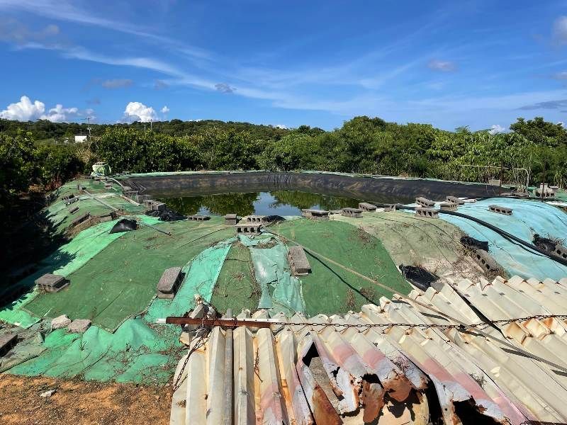 27,057 sqm Agricultural Land for Sale in Higashi Village, Okinawa - Thumbnail 4