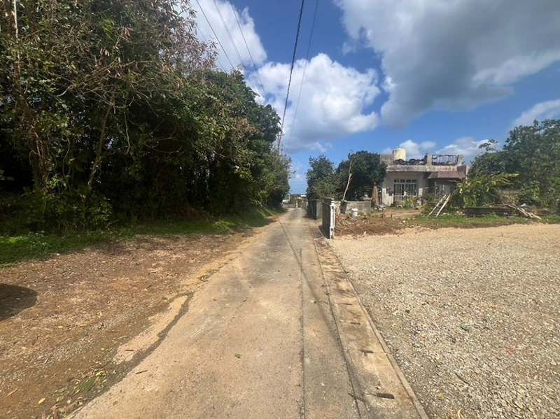Land for Sale in Nakijin Village Okinawa - 297.53 sqm Plot - Image 1