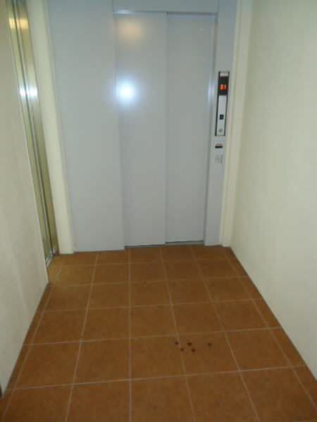 3LDK Apartment for Rent in Naha, Okinawa - Near Onoyama Park Station - Thumbnail 2