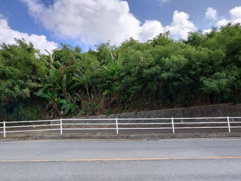 602 sqm Land Plot for Sale in Nagado, Tomigusuku, Okinawa - Thumbnail 2