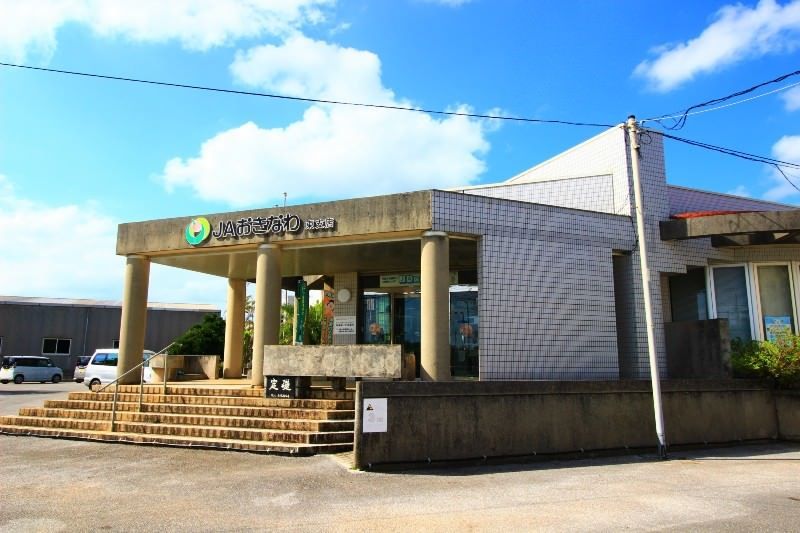 Ocean View Land for Sale in Higashi Village, Okinawa - 324.08 sqm - Thumbnail 2