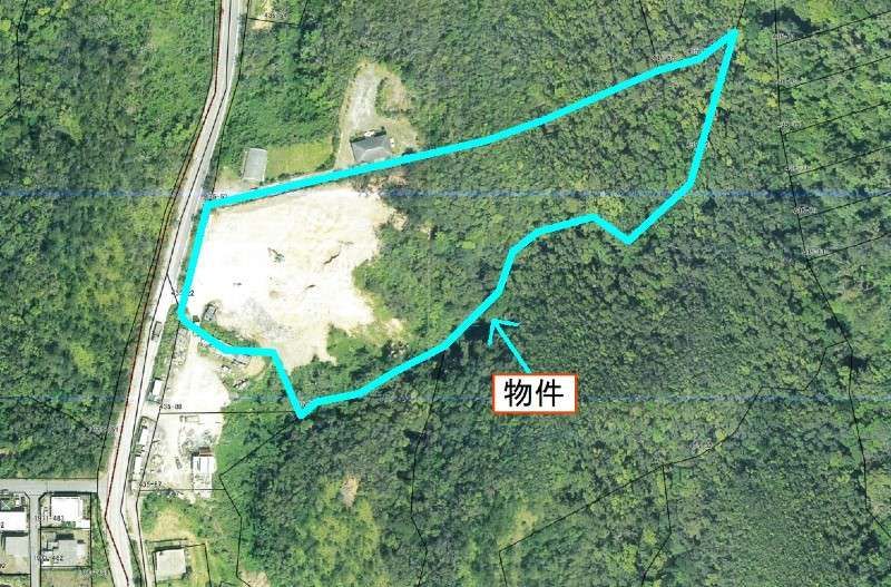 13,963 sqm Forest Land for Sale in Ogimi Village, Okinawa - Thumbnail 3