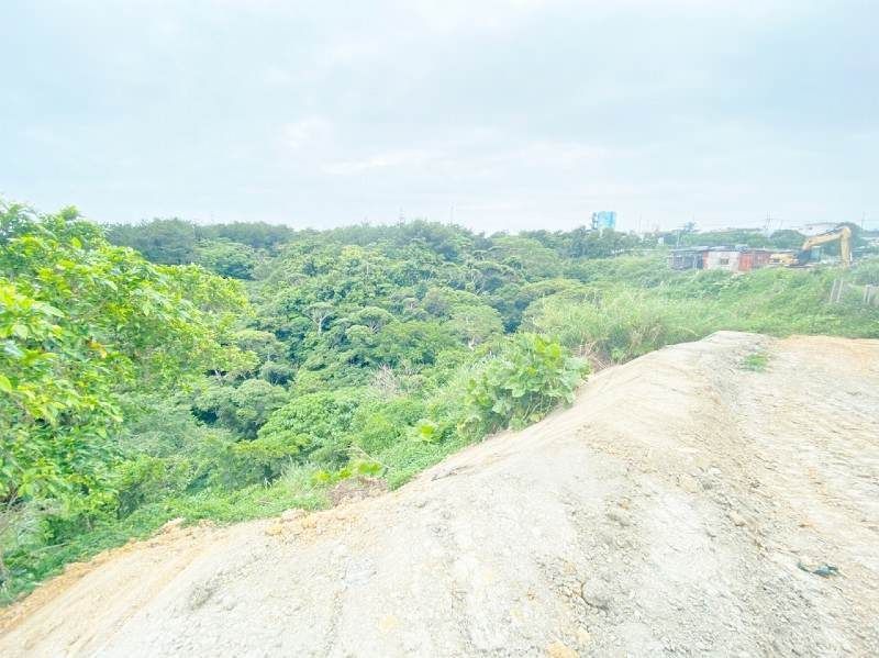 13,963 sqm Forest Land for Sale in Ogimi Village, Okinawa - Thumbnail 2