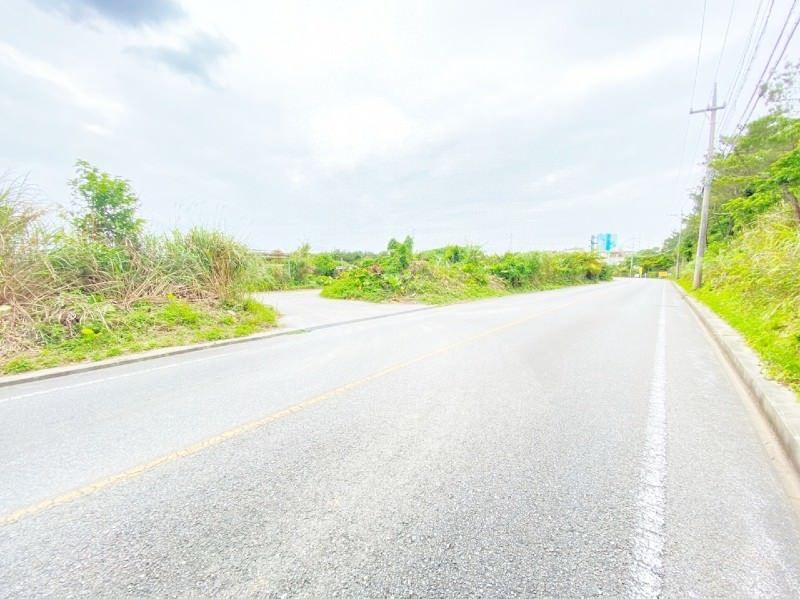 13,963 sqm Forest Land for Sale in Ogimi Village, Okinawa - Thumbnail 4