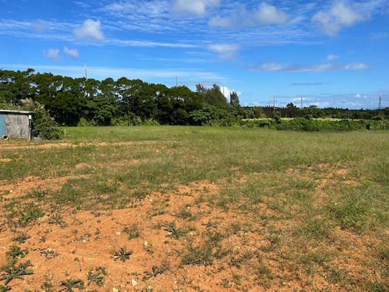 10,274 sqm Farmland for Sale in Uruma, Okinawa - Cultivated Plot - Thumbnail 4