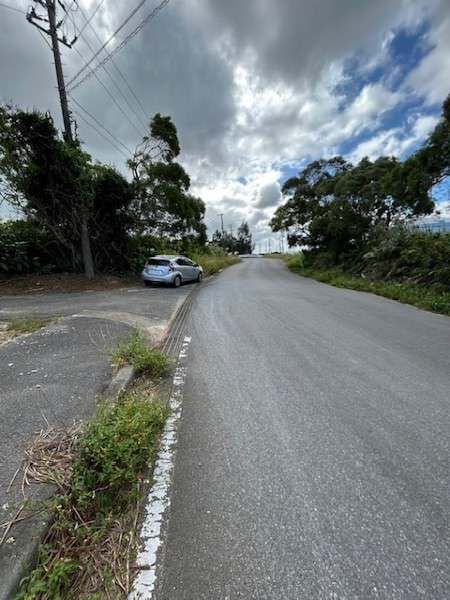 10,274 sqm Farmland for Sale in Uruma, Okinawa - Cultivated Plot - Thumbnail 2