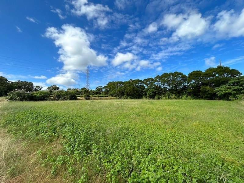 10,274 sqm Farmland for Sale in Uruma, Okinawa - Cultivated Plot - Thumbnail 3