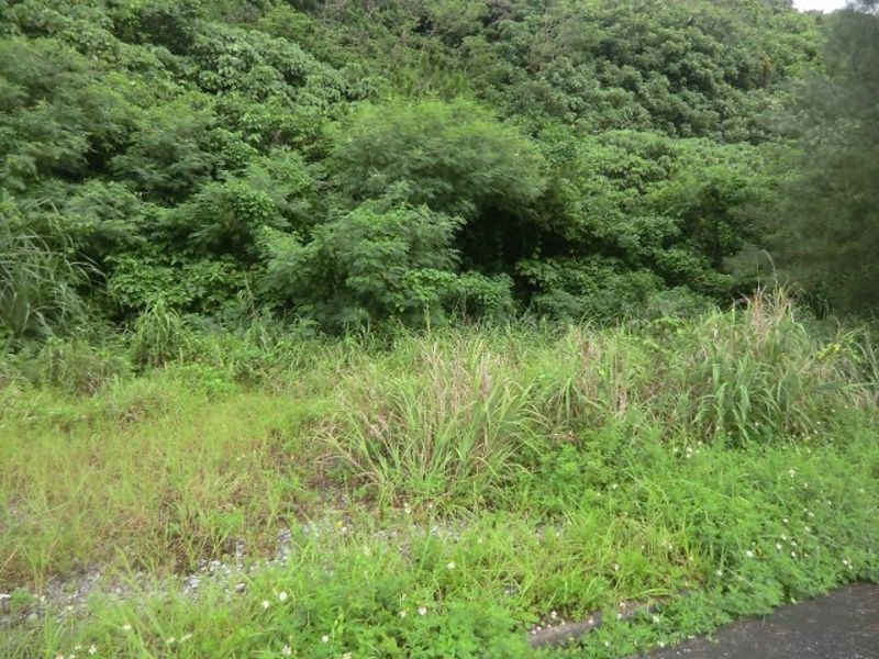 Land for Sale in Tsuha, Ogimi Village, Okinawa - 304 sqm Plot - Thumbnail 2