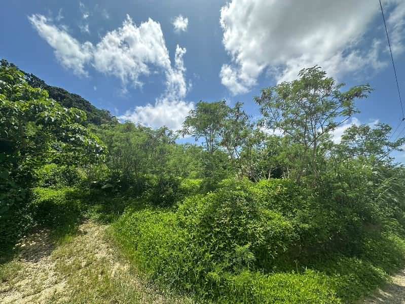 Land for Sale in Hanagusuku, Yaese Town, Okinawa - 1,175 sqm - Thumbnail 3