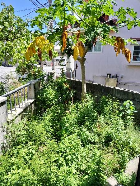 3DK Detached House for Rent in Awase, Okinawa City - Thumbnail 2