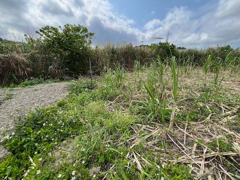 Farmland for Sale in Haebaru Town, Okinawa - 1019 sqm - Thumbnail 2