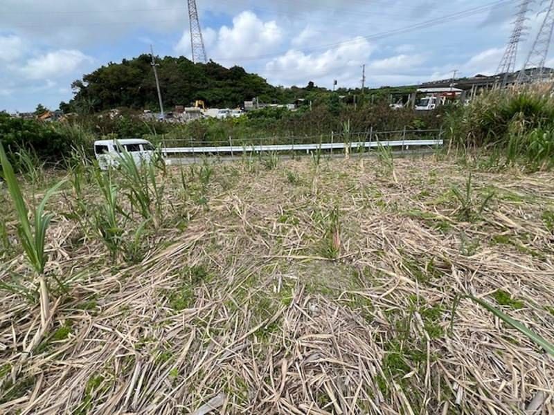 Farmland for Sale in Haebaru Town, Okinawa - 1019 sqm - Thumbnail 4