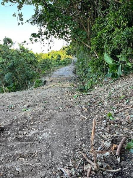 Land for Sale in Tomigusuku, Okinawa - 2368 sqm Plot - Thumbnail 4