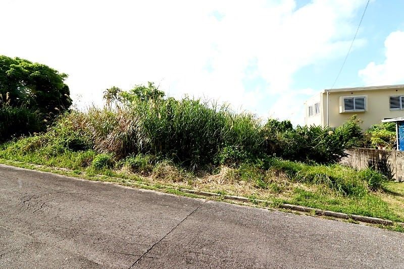 103.2 Tsubo Vacant Land for Sale in Yonabaru, Okinawa - Thumbnail 4