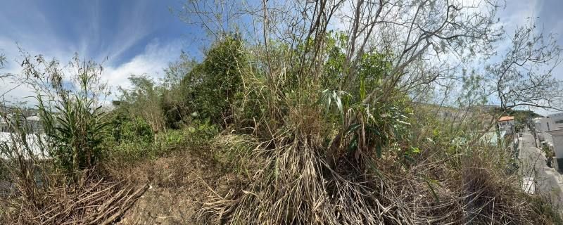 Land for Sale in Ueda, Tomigusuku City, Okinawa - 458 Tsubo - Thumbnail 4