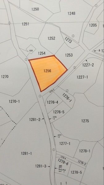 274.4 Tsubo Farmland for Sale in Itoman, Okinawa - Thumbnail 3