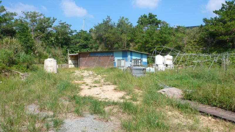 9,683 sqm Farmland for Sale in Higashi Village, Okinawa - Thumbnail 2