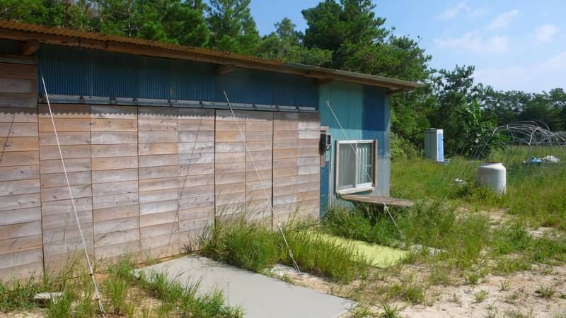 9,683 sqm Farmland for Sale in Higashi Village, Okinawa - Thumbnail 3