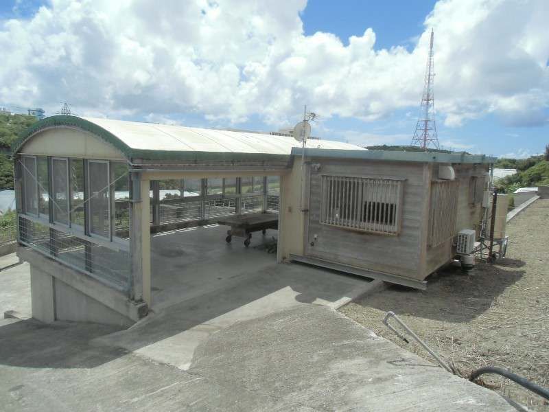 Land for Sale in Nesabu, Tomigusuku, Okinawa - 4,916 sqm - Thumbnail 4