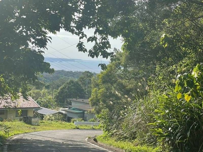 25,655 sqm Forest Land for Sale in Ōgimi Village, Okinawa - Thumbnail 2