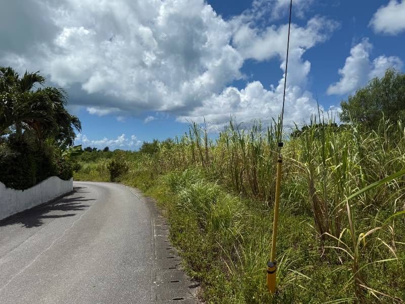 1,620 sqm Land for Sale in Miyakojima's Hiragara Hisagai - Thumbnail 2