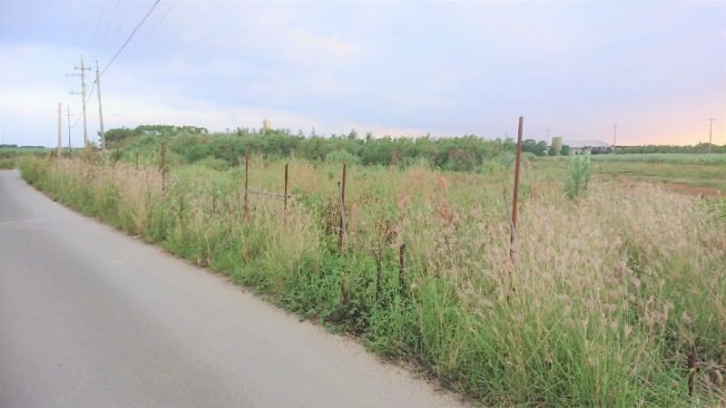 Land for Sale in Kyan, Itoman City, Okinawa - 769 sqm - Thumbnail 4