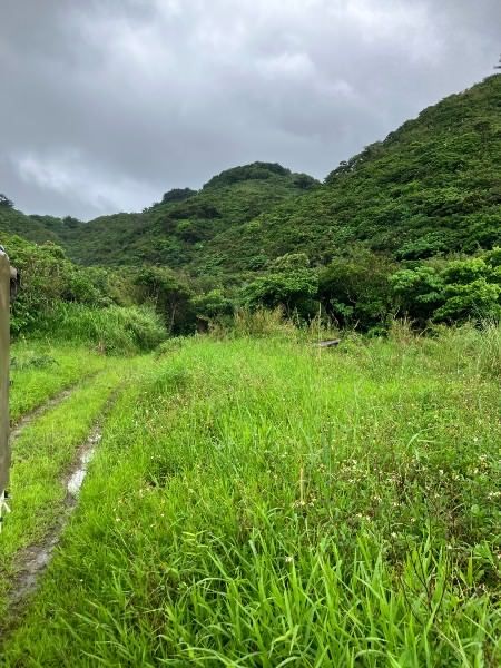 Ocean View Land for Sale in Ogimi Village, Okinawa - 565 sqm - Thumbnail 3