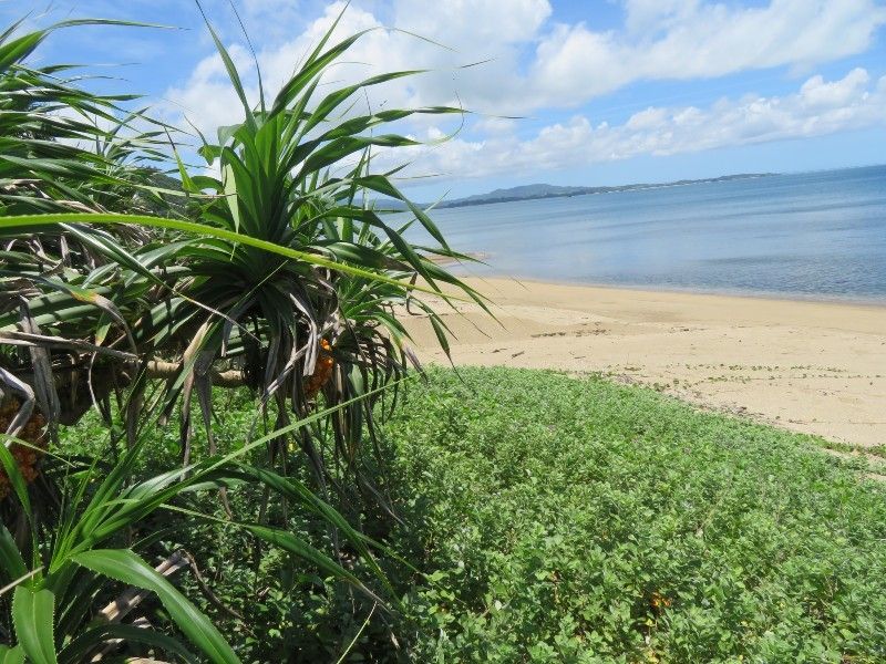 Ocean View Land for Sale in Ogimi Village, Okinawa - 565 sqm - Thumbnail 2