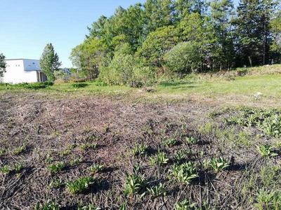 5,488m² Vacant Land in Numata Town, Hokkaido - Prime Location — Image 4, Numata, Hokkaido
