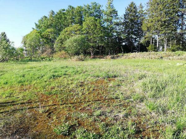 5,488m² Vacant Land in Numata Town, Hokkaido - Prime Location - Thumbnail 2