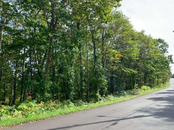 a vacant lot - Thumbnail 3