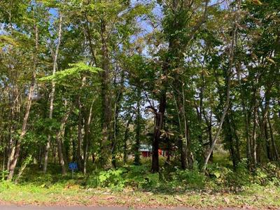 a vacant lot — Image 3, Shikabe, Hokkaido