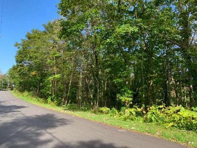 a vacant lot — Image 4, Shikabe, Hokkaido