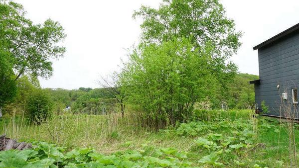 a vacant lot - Thumbnail 2