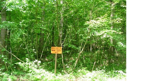 a vacant lot - Thumbnail 4