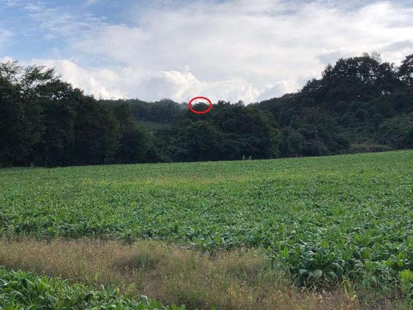 Vacant Land in Morimachi, Hokkaido - Image 1