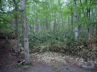 495sqm Vacant Land Plot in Shimizu Town, Hokkaido — Image 1, Shimizu, Hokkaido