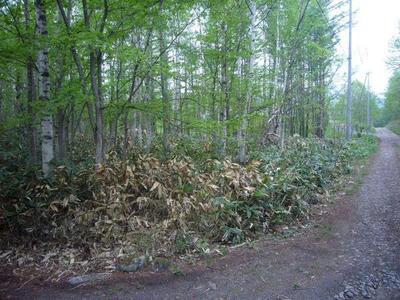 495sqm Vacant Land Plot in Shimizu Town, Hokkaido — Image 1, Shimizu, Hokkaido