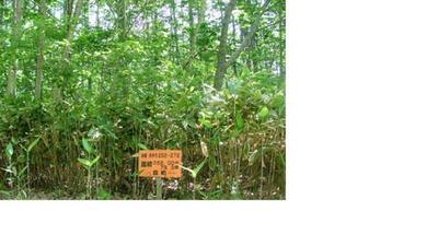 a vacant lot — Image 1, Morimachi, Hokkaido